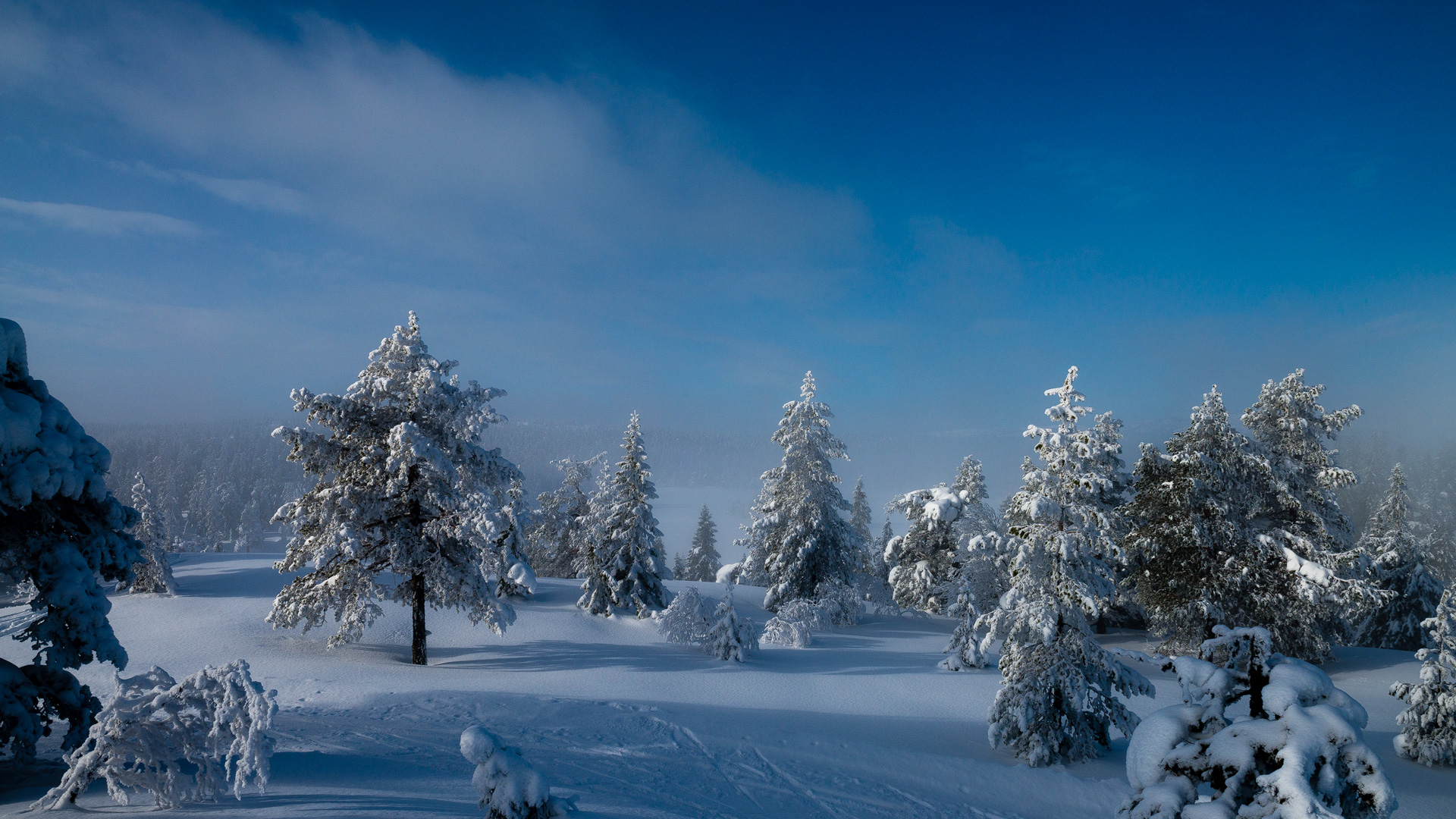 Vinter på Skrim